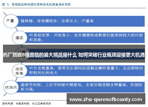药厂晋级8强面临的最大挑战是什么 如何突破行业瓶颈迎接更大机遇