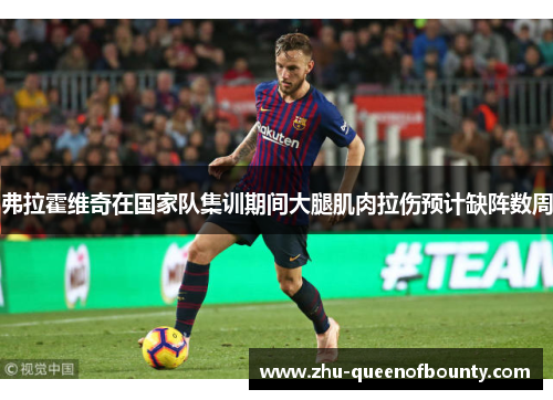 弗拉霍维奇在国家队集训期间大腿肌肉拉伤预计缺阵数周